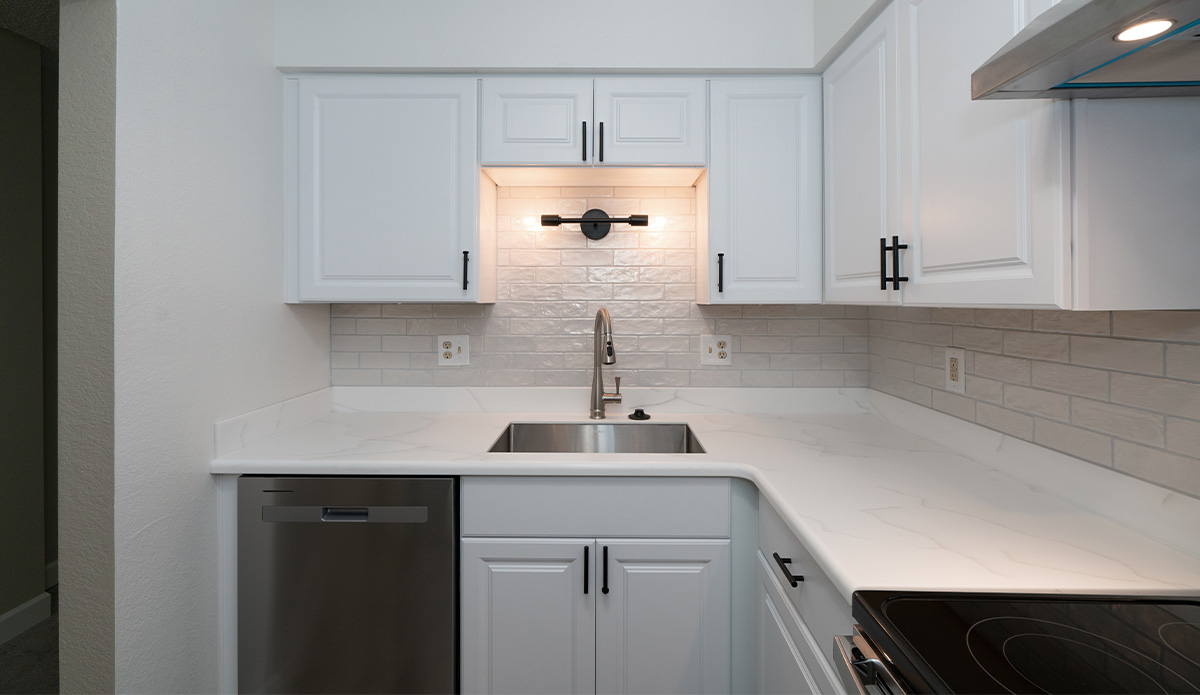 Modern Style Kitchen